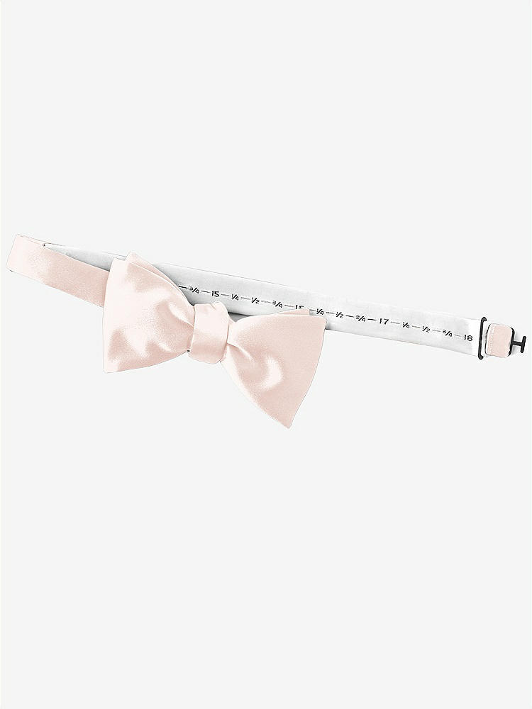 Back View - Blush Matte Satin Bow Ties by After Six