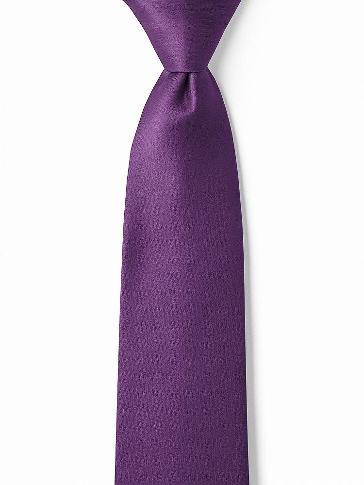 Front View - African Violet Matte Satin Boy's 14" Zip Necktie by After Six