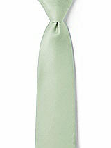 Front View Thumbnail - Celadon Matte Satin Boy's 14" Zip Necktie by After Six